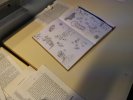 un journal dessiné