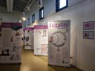 Exposition "L'Egalité des genres" Par Cartooning for Peace et (…)